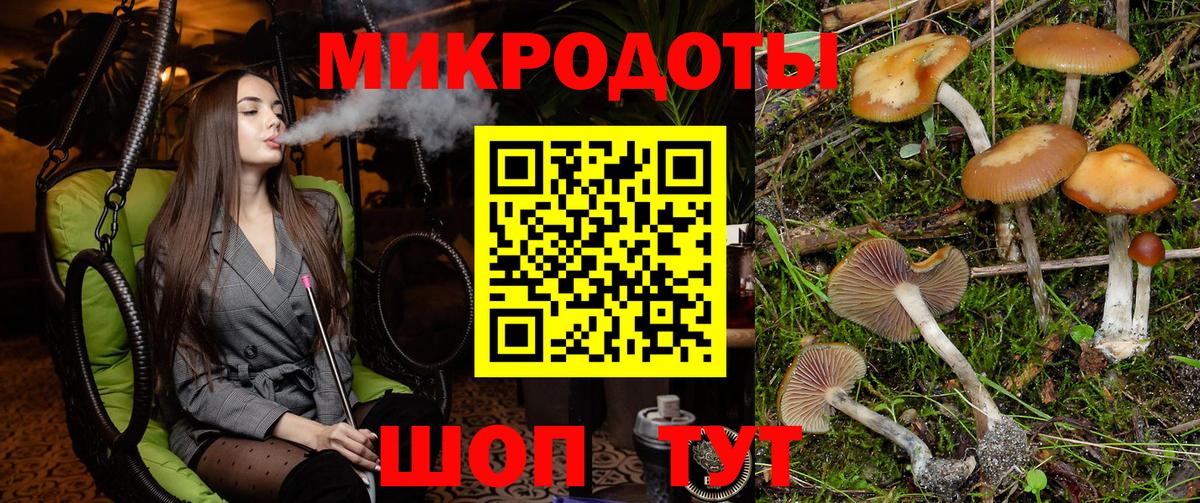 цена   Вход с VPN  Калач-на-Дону  Псилоцибиновые грибы Cubensis 